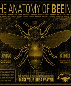 Anatomy 0F Bee-Ing