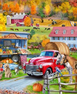 New England Fall Farm