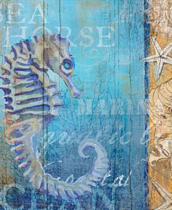 Sea Horse and Sea