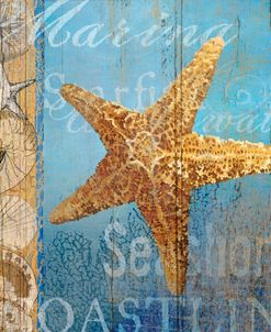 Starfish and sea