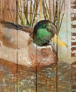 Open Season Mallard