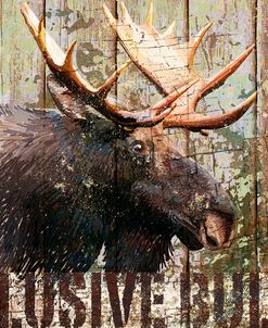 Open Season Moose