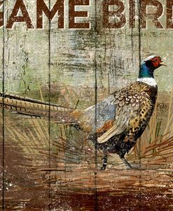 Open Season Pheasant