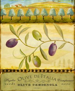 Olive Grove Puglia