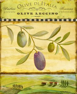 Olive Grove Tuscana