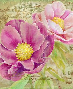 Peony Garden II