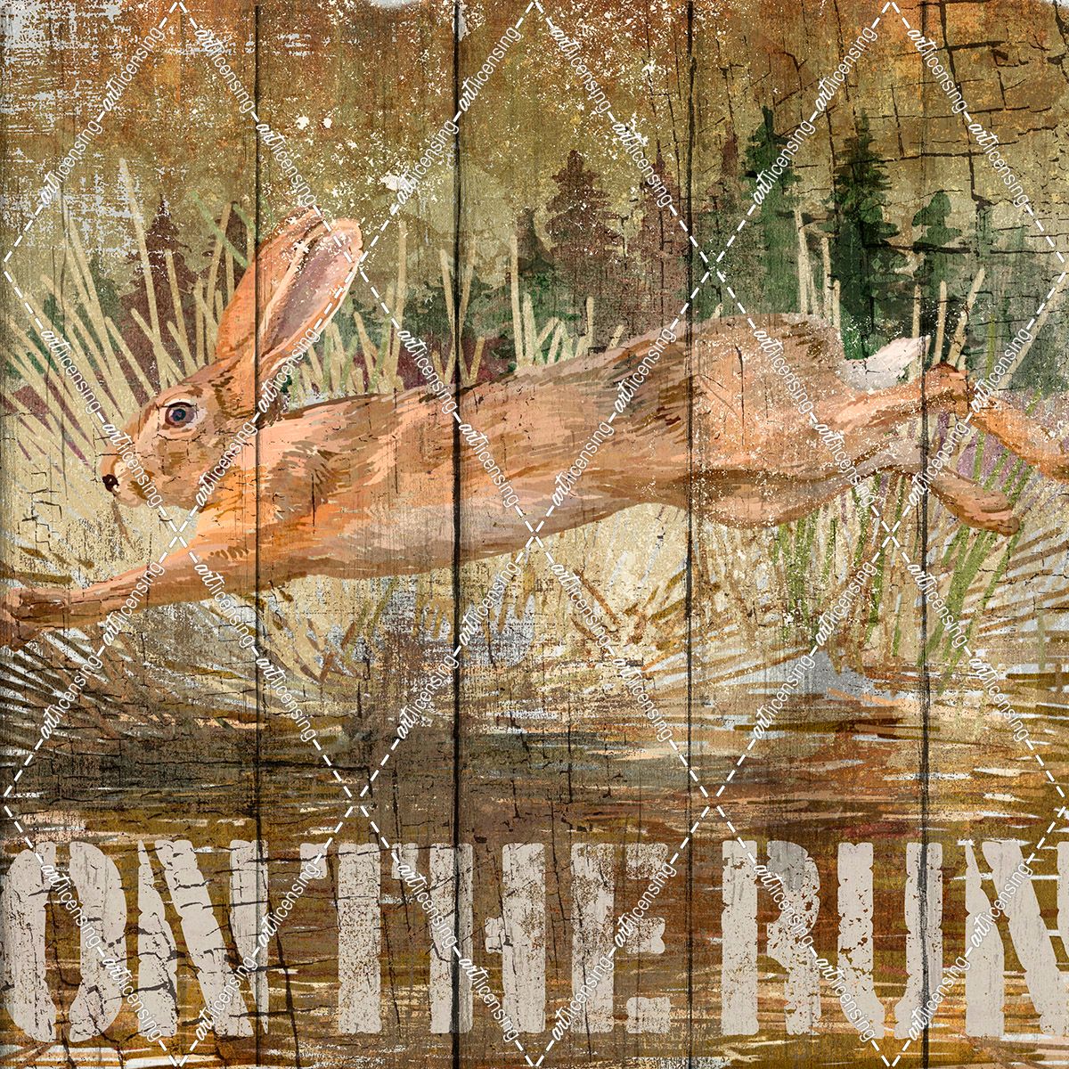 Rabbit on the Run