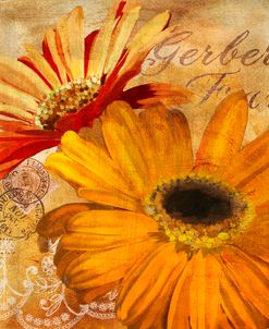 Golden Gerbera II