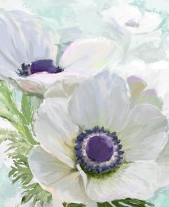 Anenome White