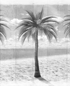 3 Island Palms