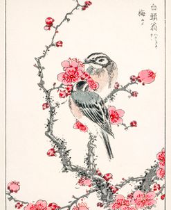 Finches Pink Branches