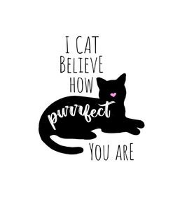 I Cat