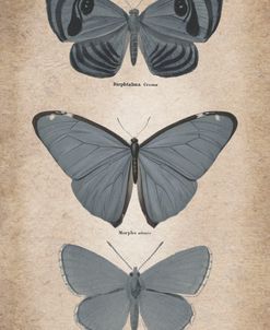 Vintage Butterflies Trio 1