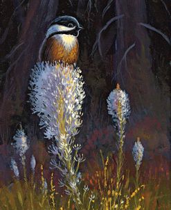 Beargrass Chicadee