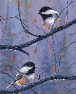 Chickadees