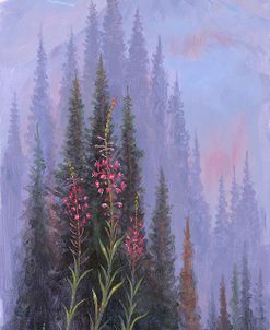 Fireweed