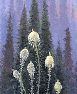 Beargrass