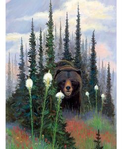Bear Grass