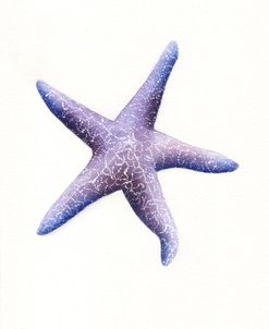 Starfish