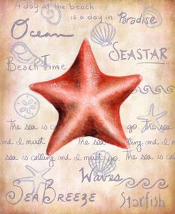 Bat Starfish Vintage