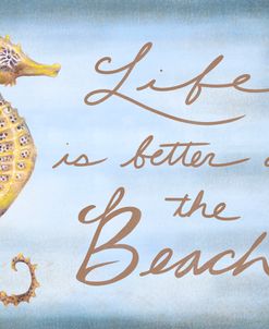 Seahorse Beach Quote