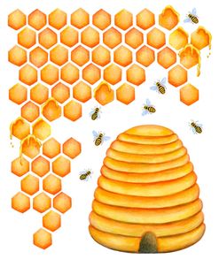 Honeycomb Beehive 2