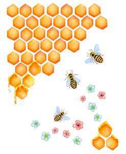 Honeycomb Bees