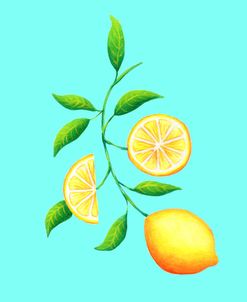 Lemon Slices Branch Blue