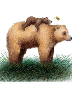 Momma Bear And Cub Butterfly