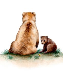 Momma Bear Sitting And Cub