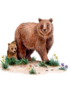 Bear And Cub Spring Time
