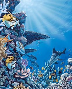 Serenity Reef