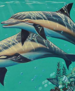GP-Common Dolphins