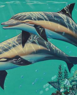 GP-Common Dolphins