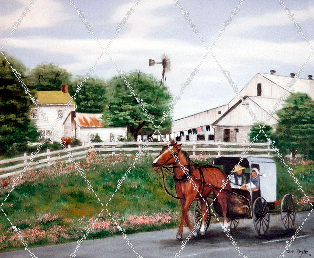 Amish Country 1