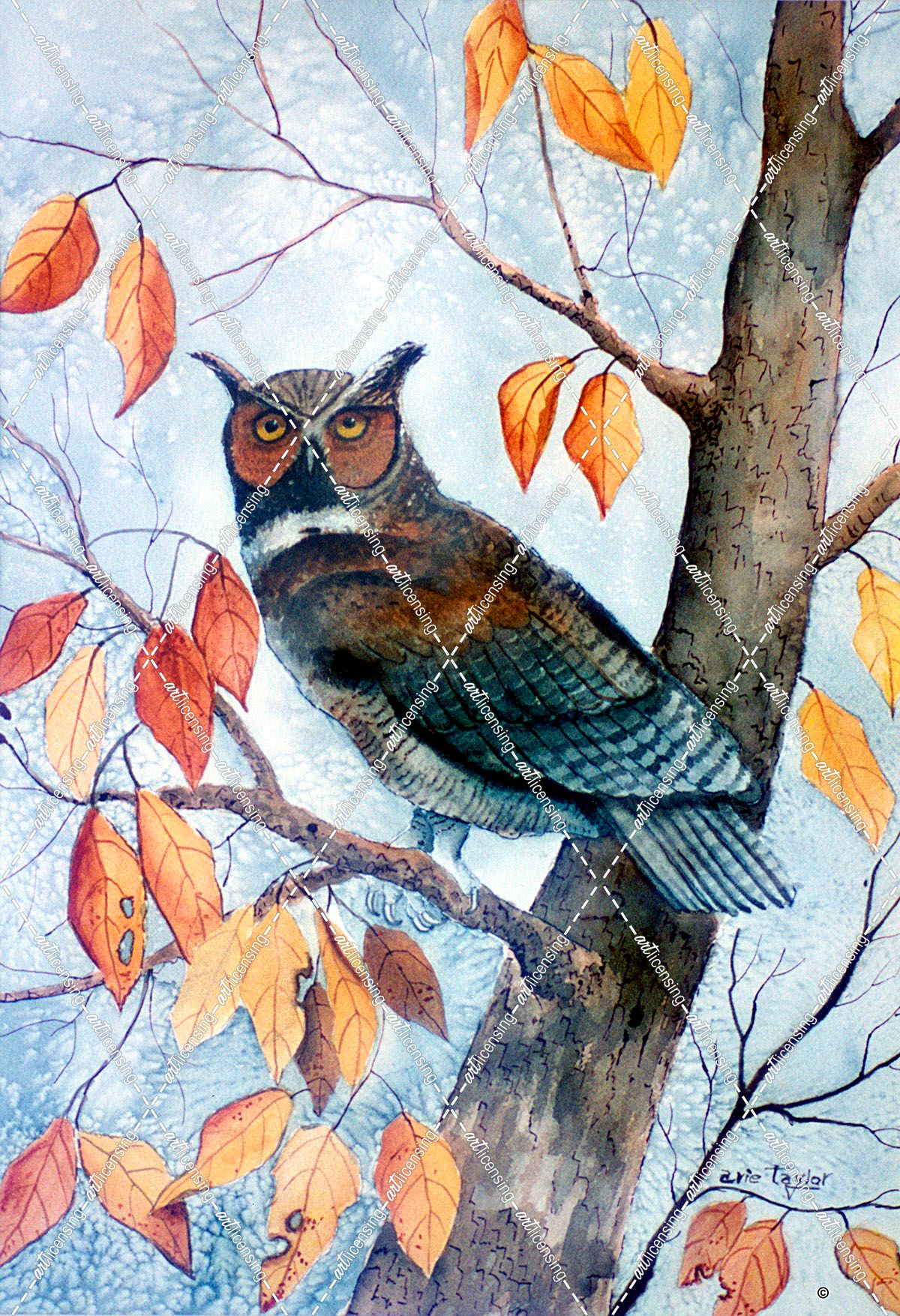 Owl and Autumn Leaves
