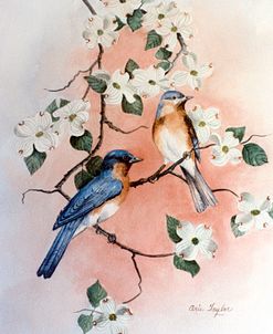 Bluebirds and Dogwood