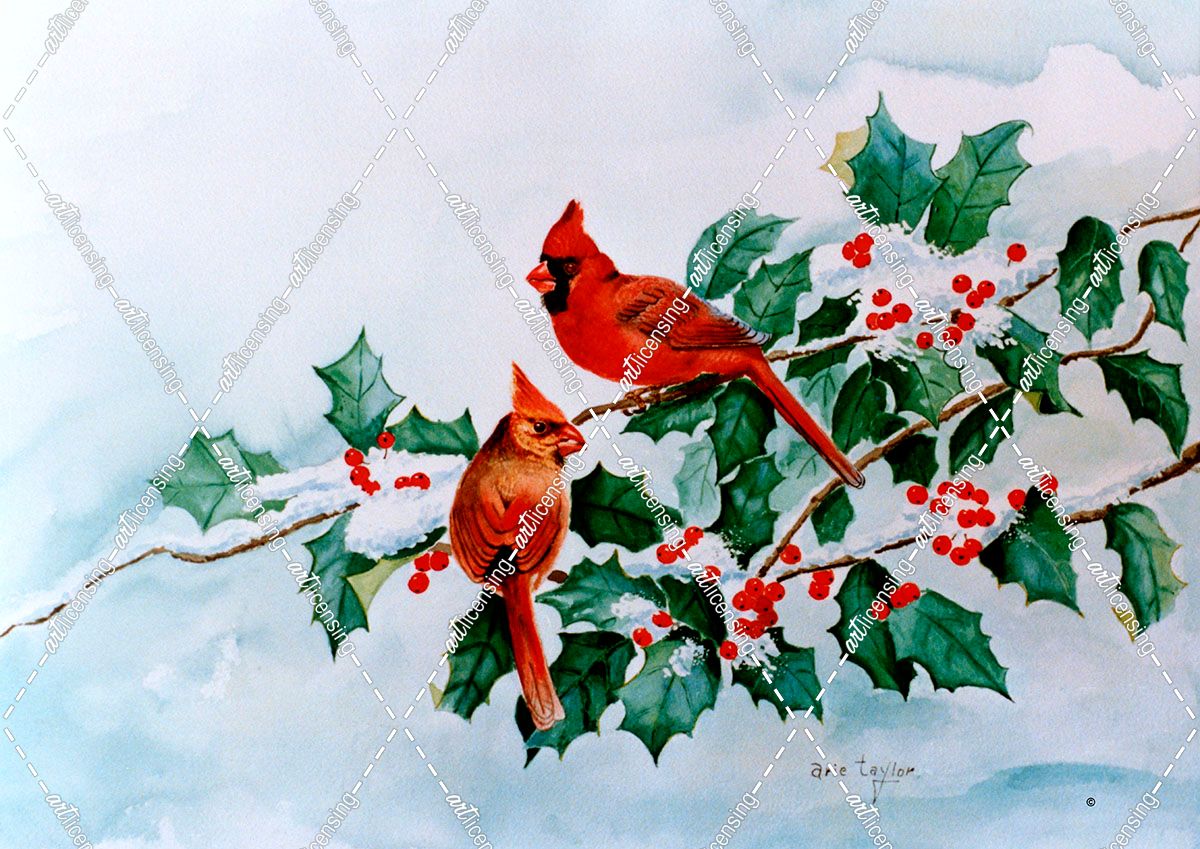 Cardinals and Holly Berries