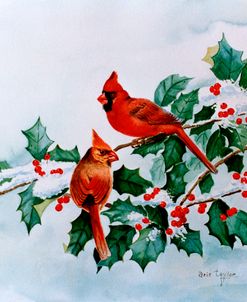 Cardinals and Holly Berries