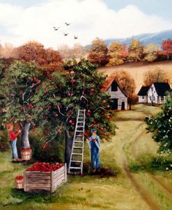 The Apple Orchard