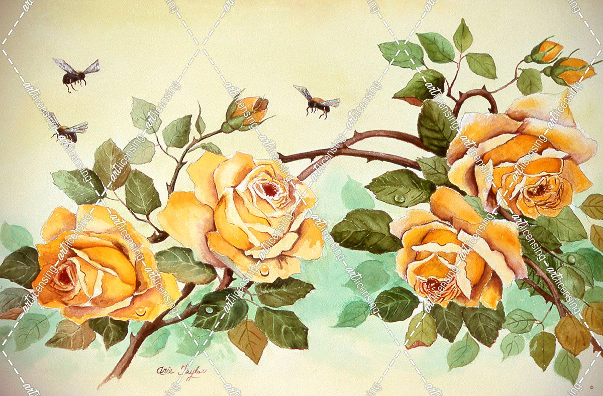 Yellow Roses with Bees