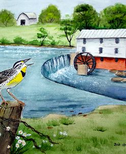 Meadowlark and Murray’s Mill