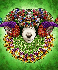 Blooming Sheep