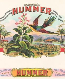 Hummer