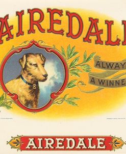 Airedale