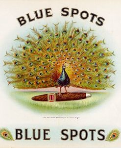 Blue Spots