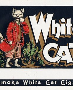 White Cat