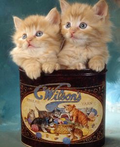 FS2096 2Cats-Old Metal Pot Wilsons