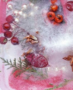 FS231 FrozenXmasberries&green&redRibbon