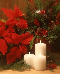 FS512 White Xmas candles Red XRose